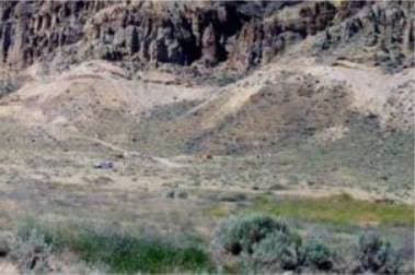 The McAbee Fossil Beds