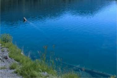 Kelly Lake, 55km, approx. 39 minutes